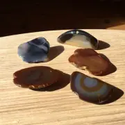 5 Mini Geode Ends Polished Agate Crystals Cut Face Rounded Back Banded Patterns