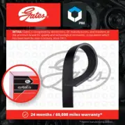 7 Rib Multi V Drive Belt fits TOYOTA HILUX Mk7 3.0D 05 to 15 1KD-FTV Gates New