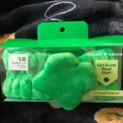 Hard Candy X Girl Scout HEAD START Get Ready Plush Headband GREEN CLOVER NEW