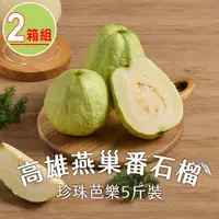 在飛比找i郵購優惠-【匯通】高雄燕巢番石榴2箱(5斤裝/箱)_隔週到貨/芭樂/台