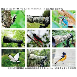 Tamron 150-600mm f/5-6.3 Di VC USD 窮人打鳥首選