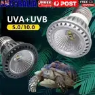 UVA+UVB Reptile Heat Basking Light Bulb Full Spectrum For Tortoise Turtle Lizard