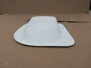 Pontiac WHITE TRANS AM Shaker Hood Scoop TA Firebird early style