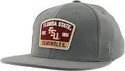 ZHATS Standard NCAA Officially Licensed Fitted Hat M15Z Switchback Gray