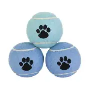 Vibrant Life 3 Pack Fetch Balls Dog Toy
