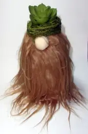 6.5” tall PLANT LADY beanbag gnome with red hair artificial succulent moss hat