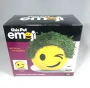 Chia Pet Emoji Winky Smiley Face Decorative Yellow Handmade Planter New & Sealed