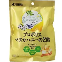 在飛比找DOKODEMO日本網路購物商城優惠-[DOKODEMO] 蜂膠麥盧卡蜂蜜咽喉糖果60克