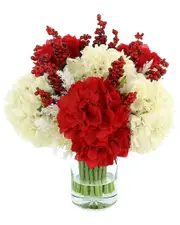 Creative Displays Red Hydrangea & Berry Arrangement in Glass Vase