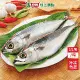 台灣南方澳鹹鯖魚15尾/箱