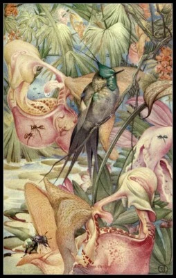 Counted Cross Stitch Patterns Chart Needlework DIY- News of Spring
