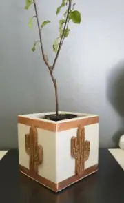 Square Cement Pot or Planter - Cactus or Succulents