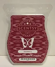 Snowberry, Wickless Candle Tart Warmer Wax 3.2 Fl Oz, 8 Square by Scentsy
