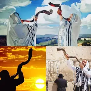 【熱賣下殺價】天然真以色列號角長角易吹高音號角傳統羊角直供猶太民族樂器