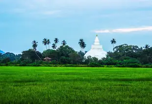 夏亞旅館