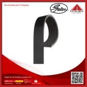 Gates V-Ribbed Belt For Renault Kango X61 FW03, FW09, FW0D, FW0U, FW0W,FW13 1.6L (for: Renault)