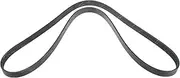 Engine Drive Belt for Holden Commodore VZ VE 3.0L 3.6L V6 2004 to 8/2009
