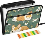 Quteprint 13 Pockets Expanding File Folder with Zipper Closure, Cute Sleeping Corgis Dog Accordion File Folder with Sticky Labels, Letter Size A4 Papers Expandable File Document Organizer