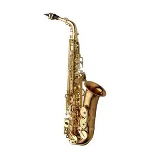 凱傑樂器 YANAGISAWA AWO20 ALTO SAX 薩克斯風 中音 公司貨