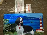 Blossom Collection Springer Spaniel Puppy Wallet Spaniel Dog Purse Wallet NWT
