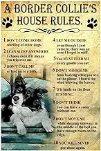 Geuuki Metal Sign - Border Collie's House Rules Vintage Retro Aluminum Tin Sign for Kitchen Home Office Bar Cafe Decor 8x12 Inches