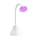 Desktop Rechargeable Mini Phototherapy Lamp Nail Quick Drying UV Curing Lamp