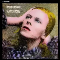 在飛比找蝦皮購物優惠-##60 全新 CD David Bowie - Hunky