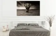 elephant-black-and-white-animal-afrihigh quality wall Canvas wall art home decor