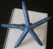 Dark Blue finger STARFISH Christmas Tree Topper 10"