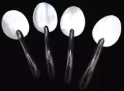Mother of Pearl Shell Caviar Spoons with Buffalo Horn Handles 4 Pc Set