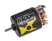 Associated 27432 Reedy Radon 2 Crawler 20T 5-Slot 1500kV Brushed 540 Motor