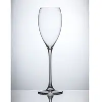 在飛比找樂天市場購物網優惠-《RONA樂娜》Le Vin 樂活香檳杯-260ml (6入
