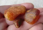 16,84gr 3pcs Drops Natural Real Raw Genuine Red Baltic Amber Stones