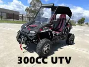 300CC UTV Challenger Dune Buggy Go kart Off Road Water Cool 2 Seater Auto Diff