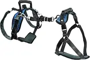 PetSafe CareLift Support Harness - Full-Body Lifting Aid with Handle - Great for Pet Mobility and Older Dogs - Comfortable, Breathable Material - Easy to Adjust - Large