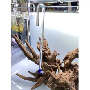 《傳奇水族》✨水族用品✨ISTA 魚缸溫度計 掛式溫度計 玻璃溫度計 15cm 18cm