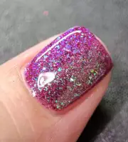Phoenix Stamping Polish 5-Free OOPS Polishes Collection