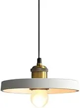 Colored Wrought Iron Hanging Light Shade, Modern Minimalist Style Pendant Lamp, E27 Base Single Head Ceiling Chandelier, Library Bar Shopping Mall Ceiling Lighting