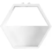 Handmade Acrylic Chlorophytum Flower Pot Scindapsus Hexagon Hanging Wall Decoration 01