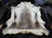 Reindeer Hide, Striking Markings - A Wonderful Traditionally Farmed Premium Hide