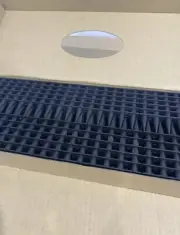 Bird Spikes