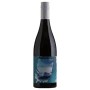 2019 Aphelion The Tendance Shiraz - Buy Online | The Wine Collective Marketplace
