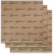 Set of 3 - 14 x 14 Inch - Excalibur Food Dehydrator Re-usable Non-stick Sheet - ParaFlexx Premium Sheets