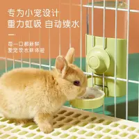 在飛比找蝦皮商城精選優惠-寵物水壺掛式 飲水器 寵物 兔子大容量靜音自動餵水器 水壺飲