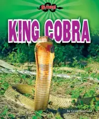 在飛比找博客來優惠-King Cobra