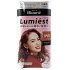 Kao Blaune Lumiest Creamy Foam Hair Color 1WB Warm Brown JAPAN