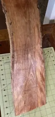 One Piece Hawaiian Ohia Wood w/Curl~ 20 3/4" x 5 3/4" x 7/8" (#285)
