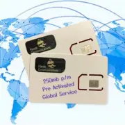 ZELLO Walkie Talkie DATA SIM CARD PandaPTT HamGeek Radio-Tone RealPTT USA Ship