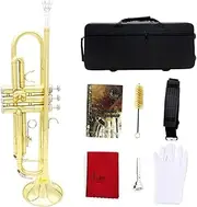 B Flat Trumpet Brass Gold and Silver Two-Color Trumpet Beginner Brass Instrument Beginner Brass Trumpet Gold-Cloth Box Gold-Cloth Box