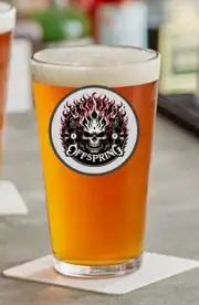 The Offspring - Rock and Roll - 16oz Pint Beer Glass Seltzer Liquor Iced Coffee